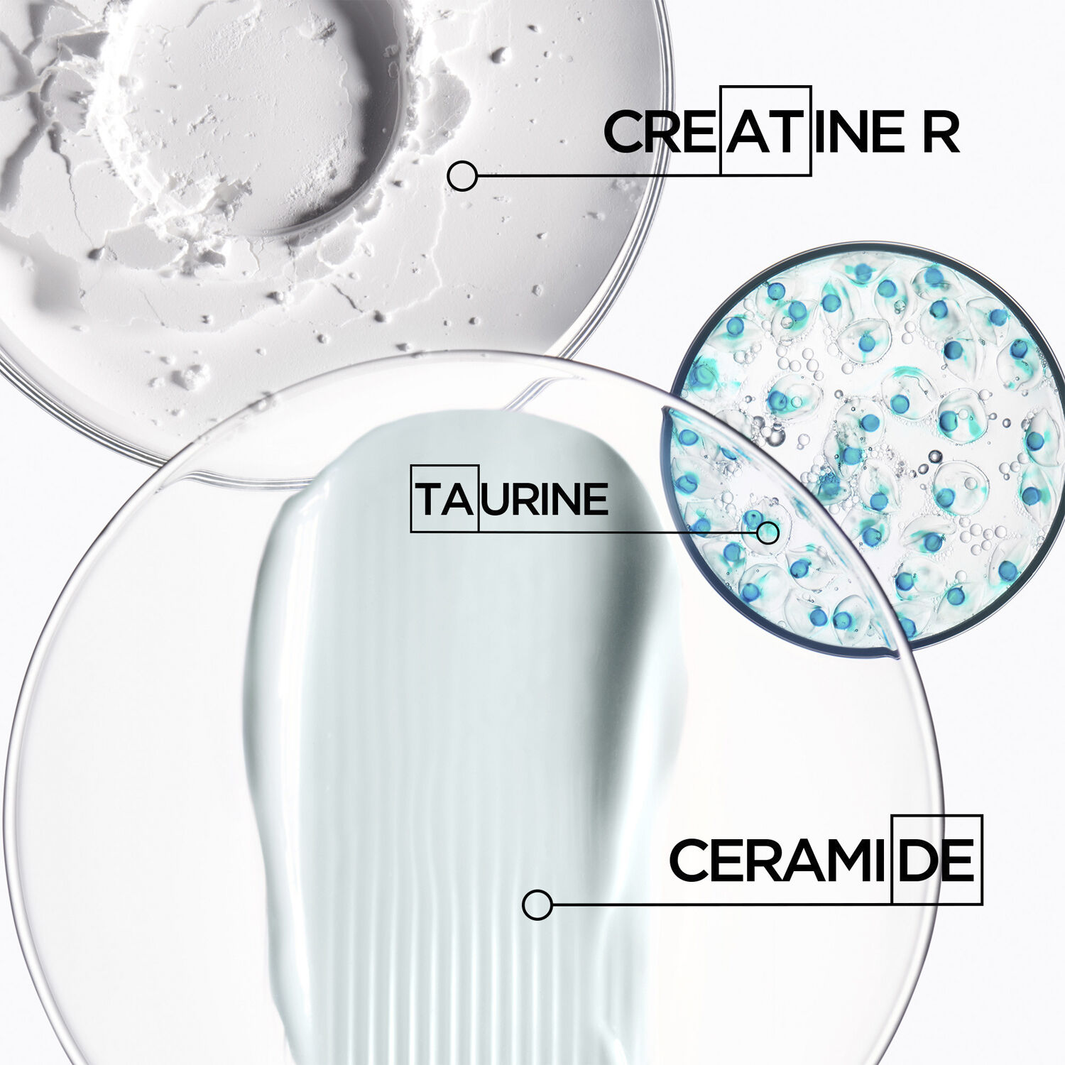 K&eacute;rastase Resistance Bain Extentioniste Shampoo 500ml