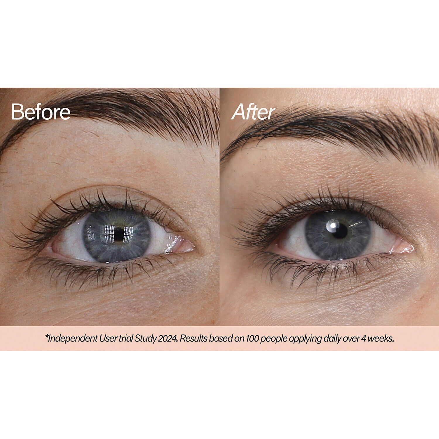 Pitta lash serum - Serum til Pitta-vipper
