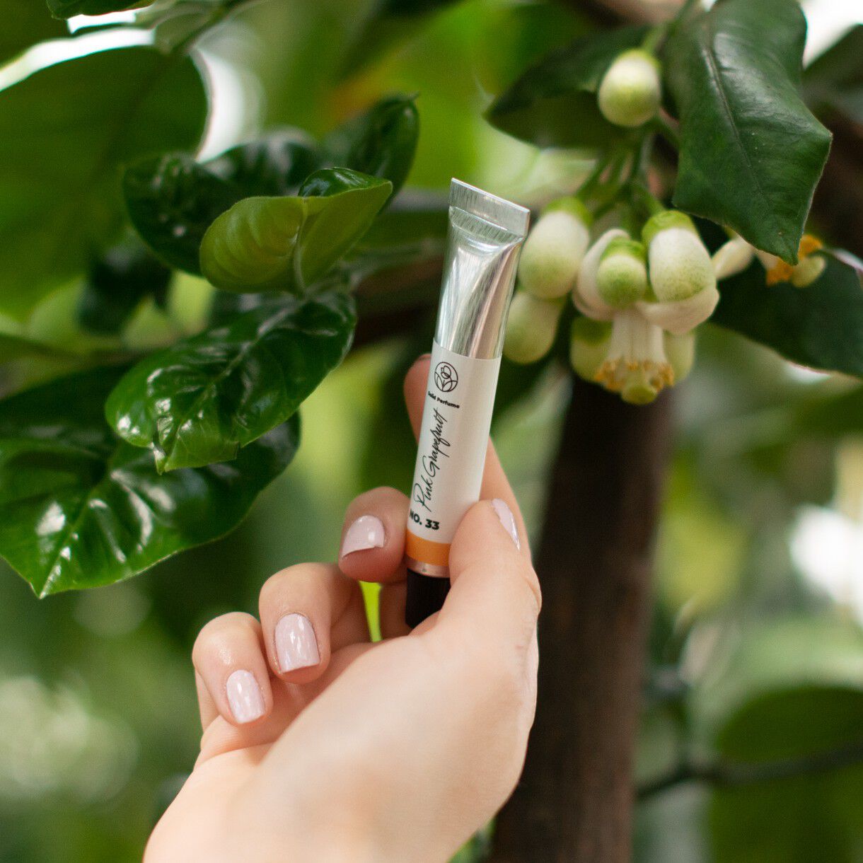 Solid parfume - Pink grapefruit No. 33