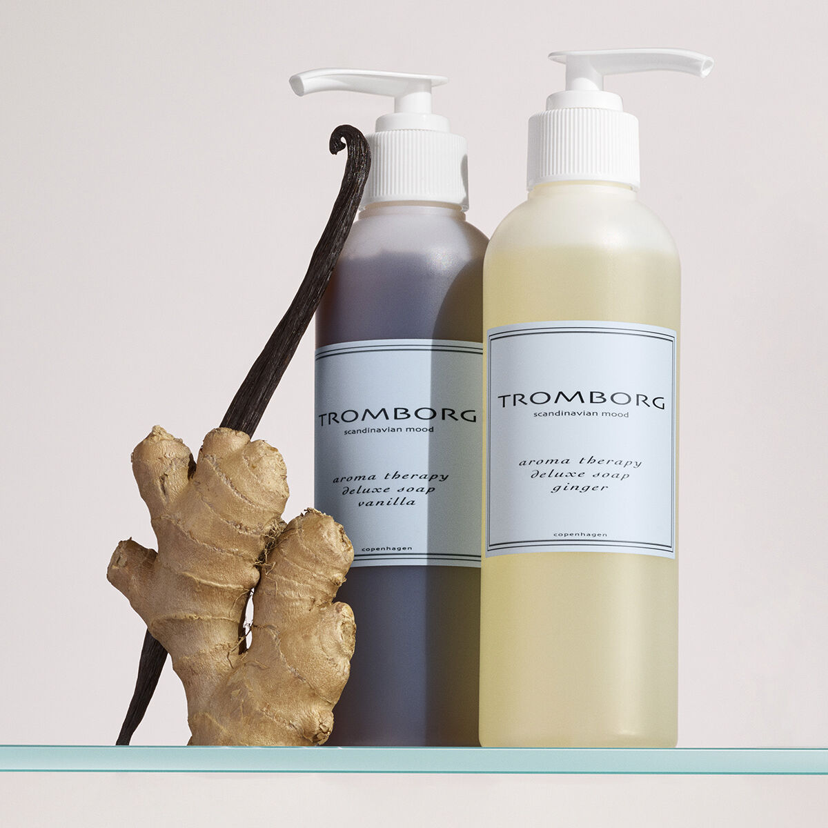 Aroma Therapy Deluxe Soap Ginger