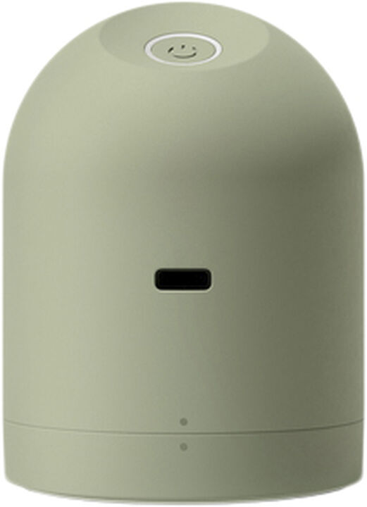 Pilo 2 Fabric Shaver - Sage