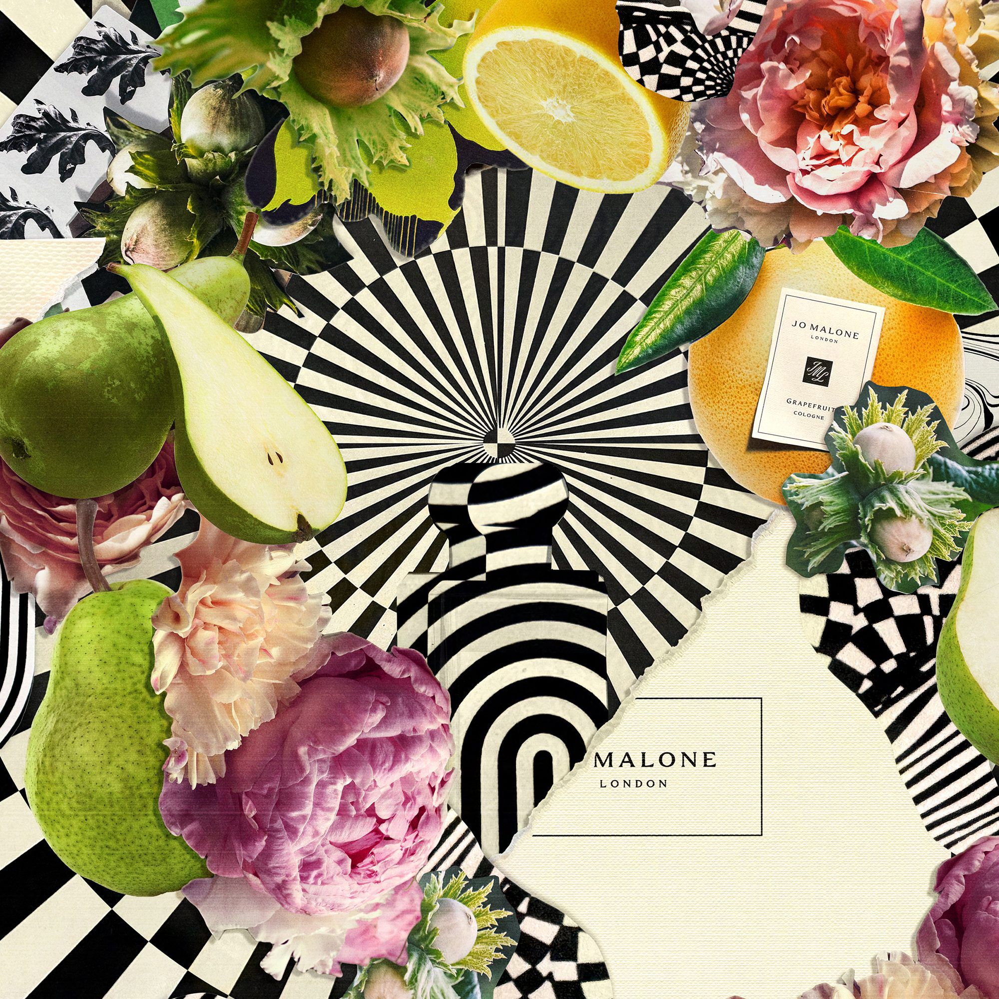 Wood Sage & Sea Salt Layering Collection