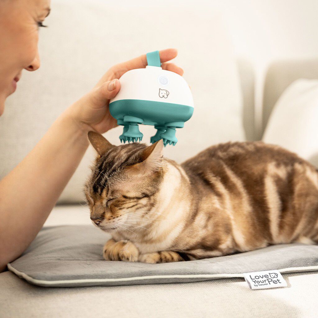 PetCare PP 410 Buddy Massasjeapparat for kj&aelig;ledyr