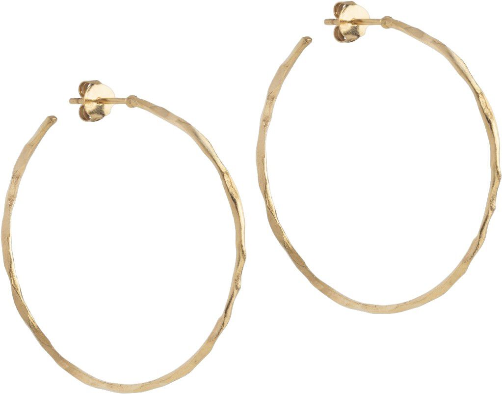 Hoops, Organic Arena Large