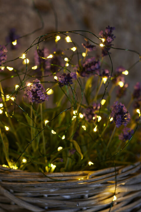 Knirke, Green, 1,6m+5m