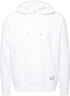 SDLENZ HOOD SW Sweatshirt