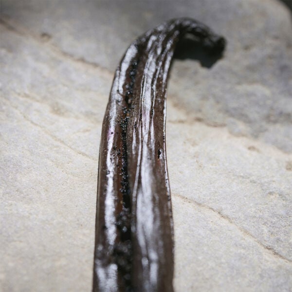 CHLOÉ Nomade Naturelle Eau de parfume