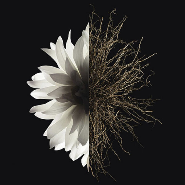 Givenchy L'Interdit Eau de parfum