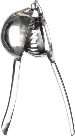 Citrus juicer