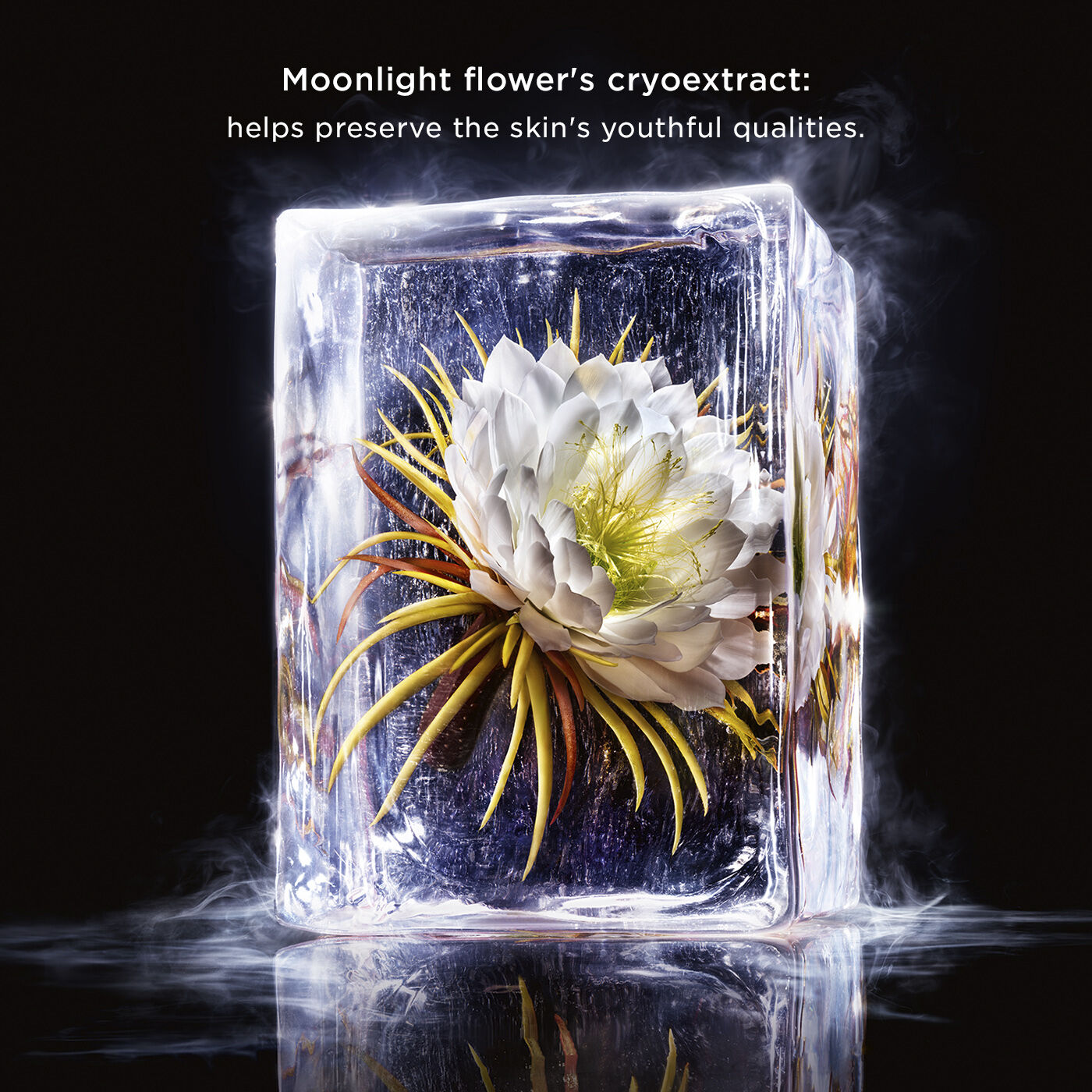 Precious La Cr&egrave;me Yeux Age-Defying Eye Cream