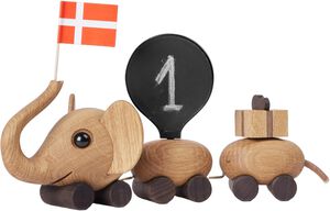 F&oslash;dselsdagstoget