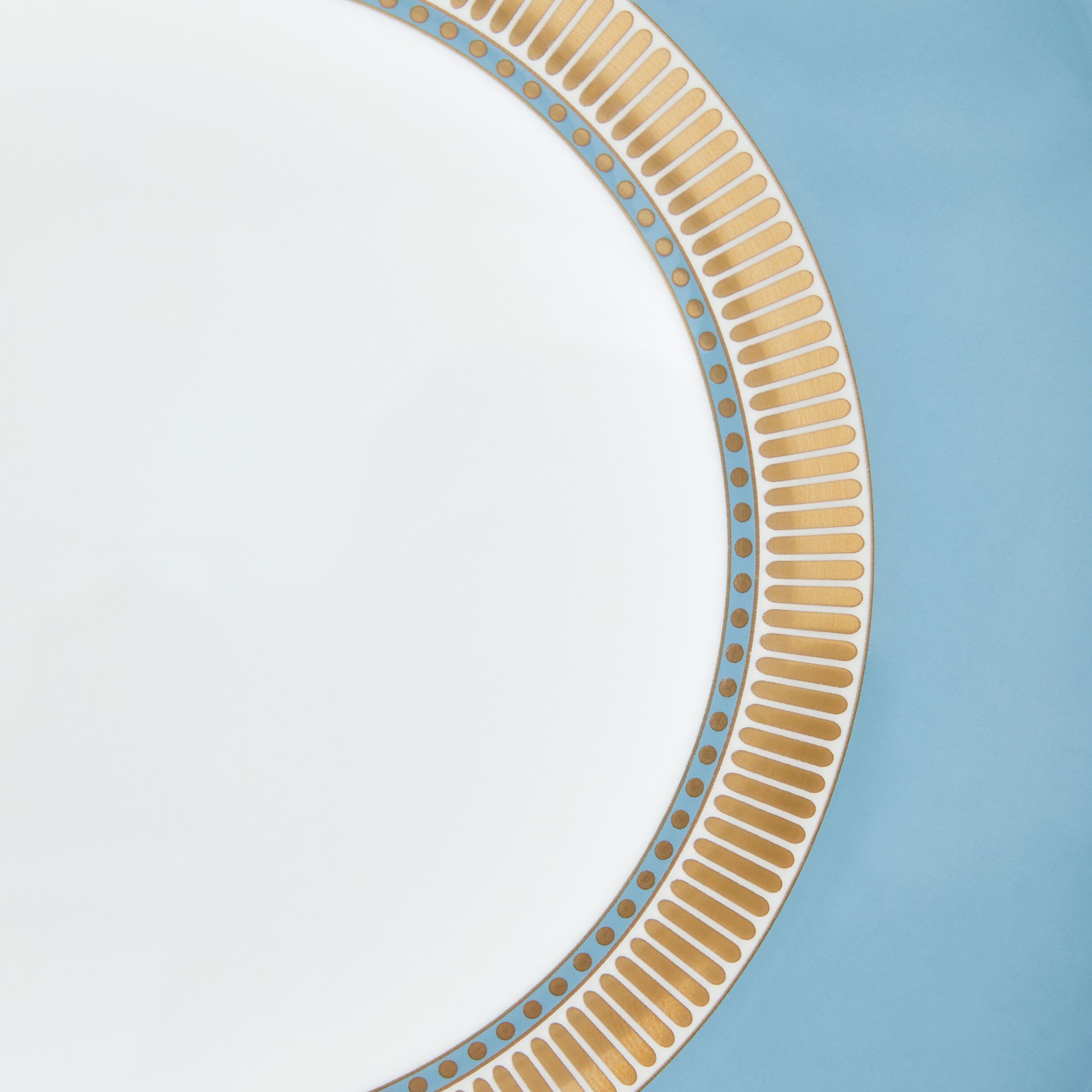 HELIABL Plate 20. 6cm 8. 1in BLU