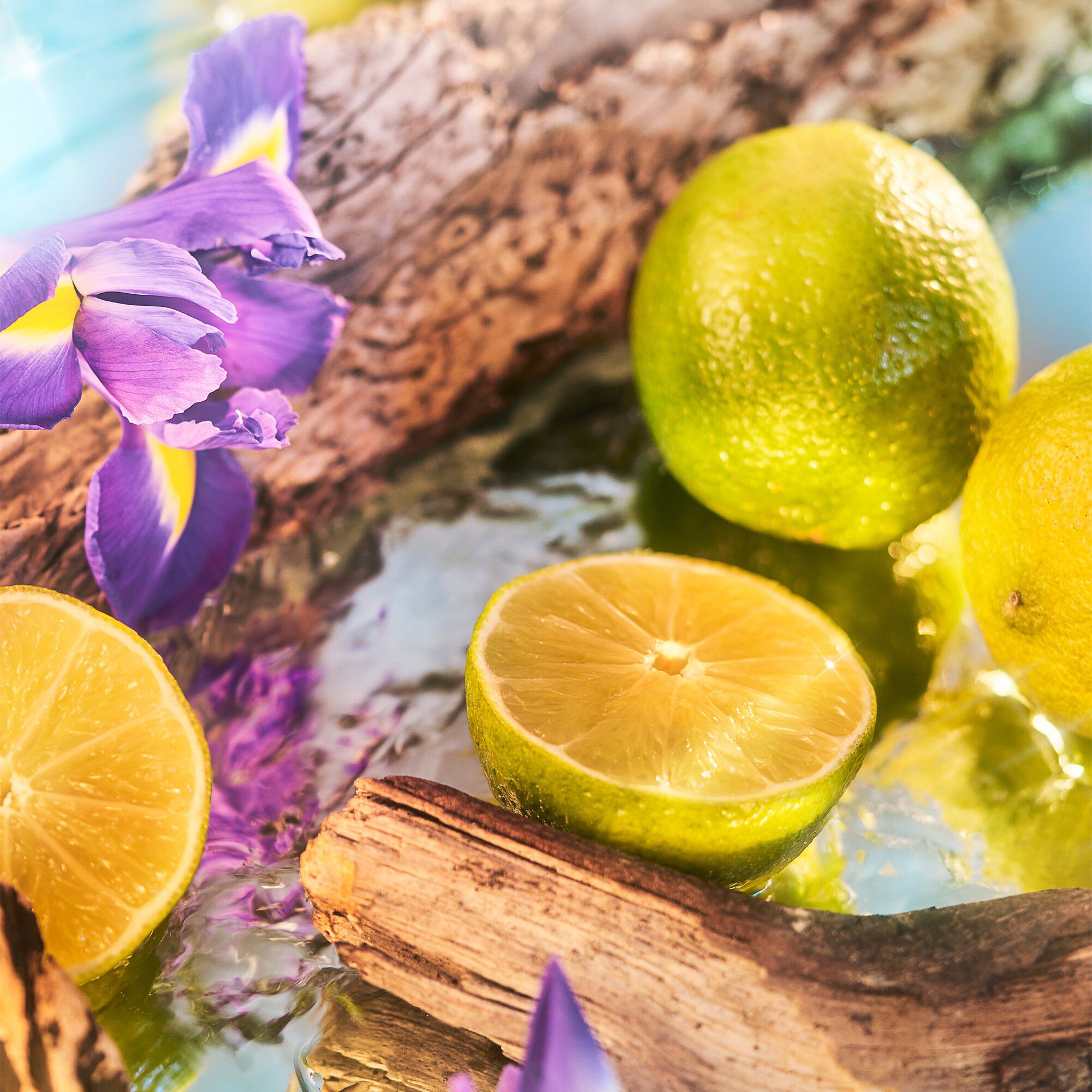 OCEANIA PARFUM 50 ML