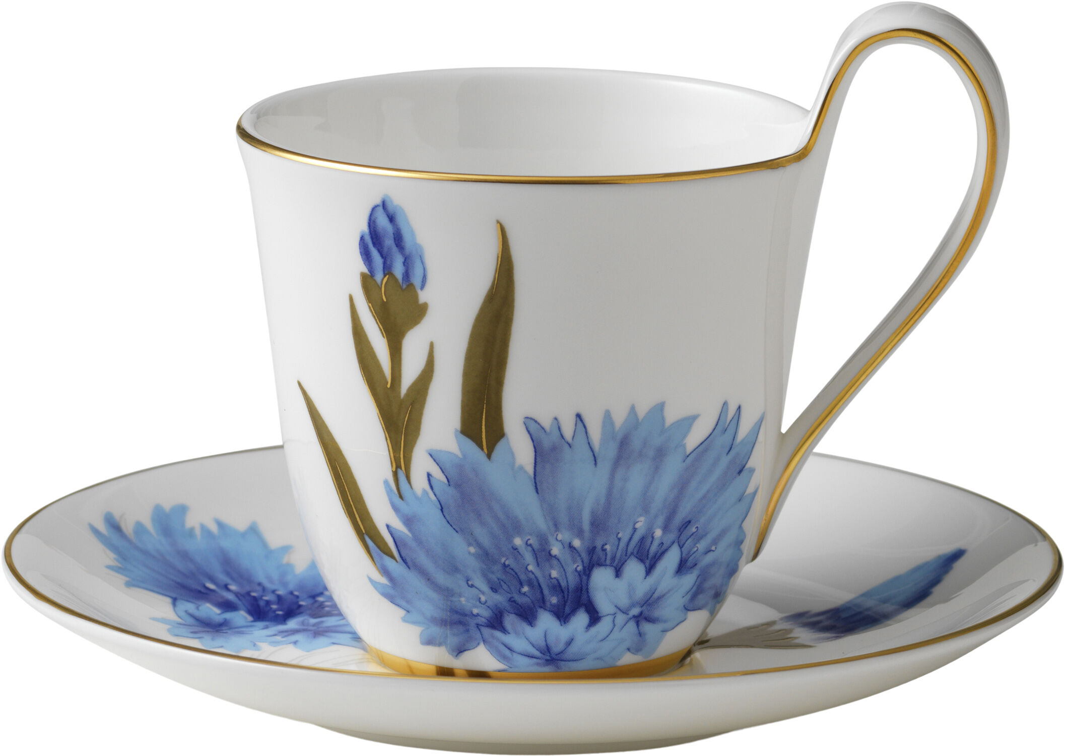 Flora h&oslash;jhanks- og underkop kornblomst