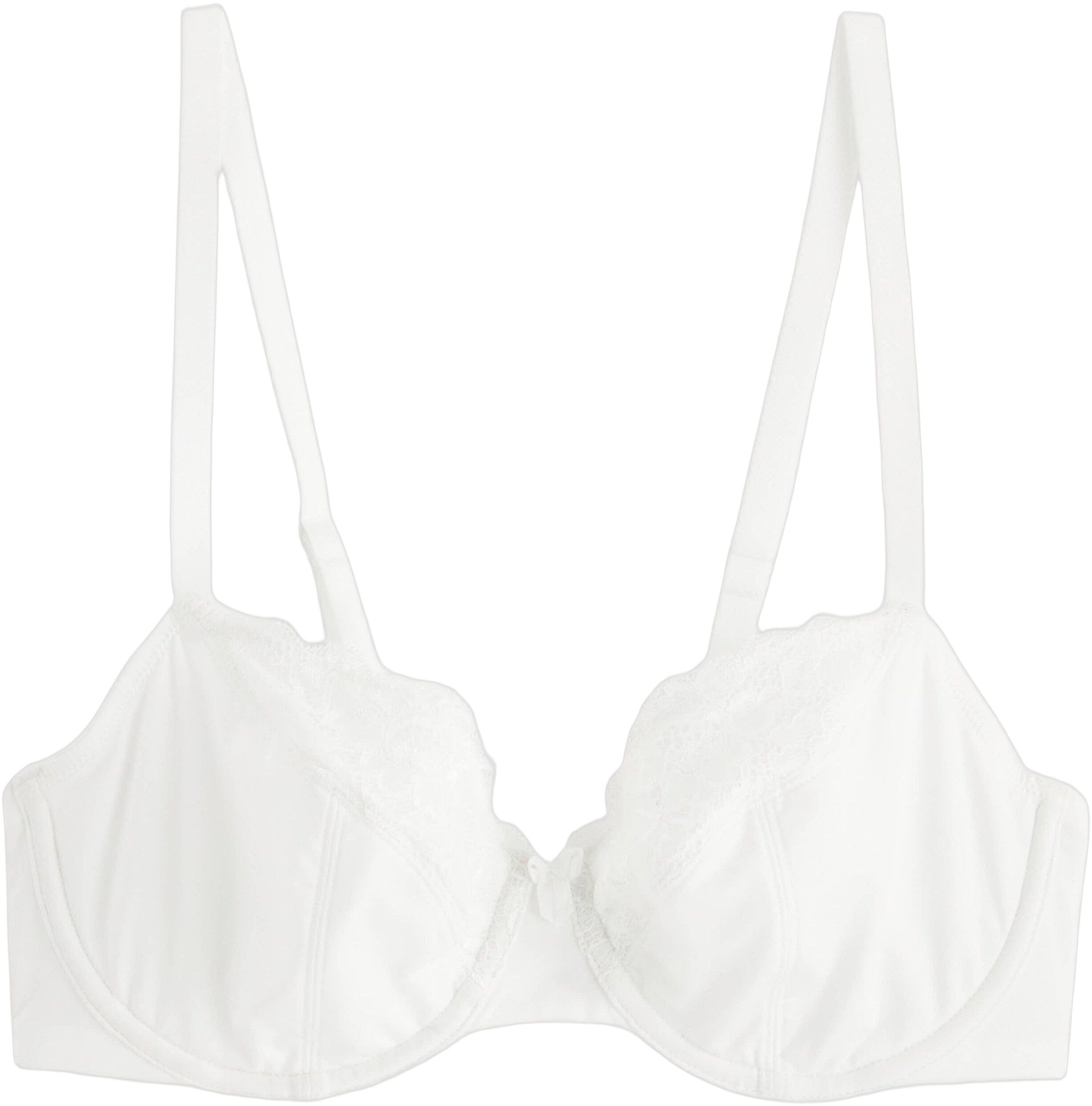 Aster BH uten vattering