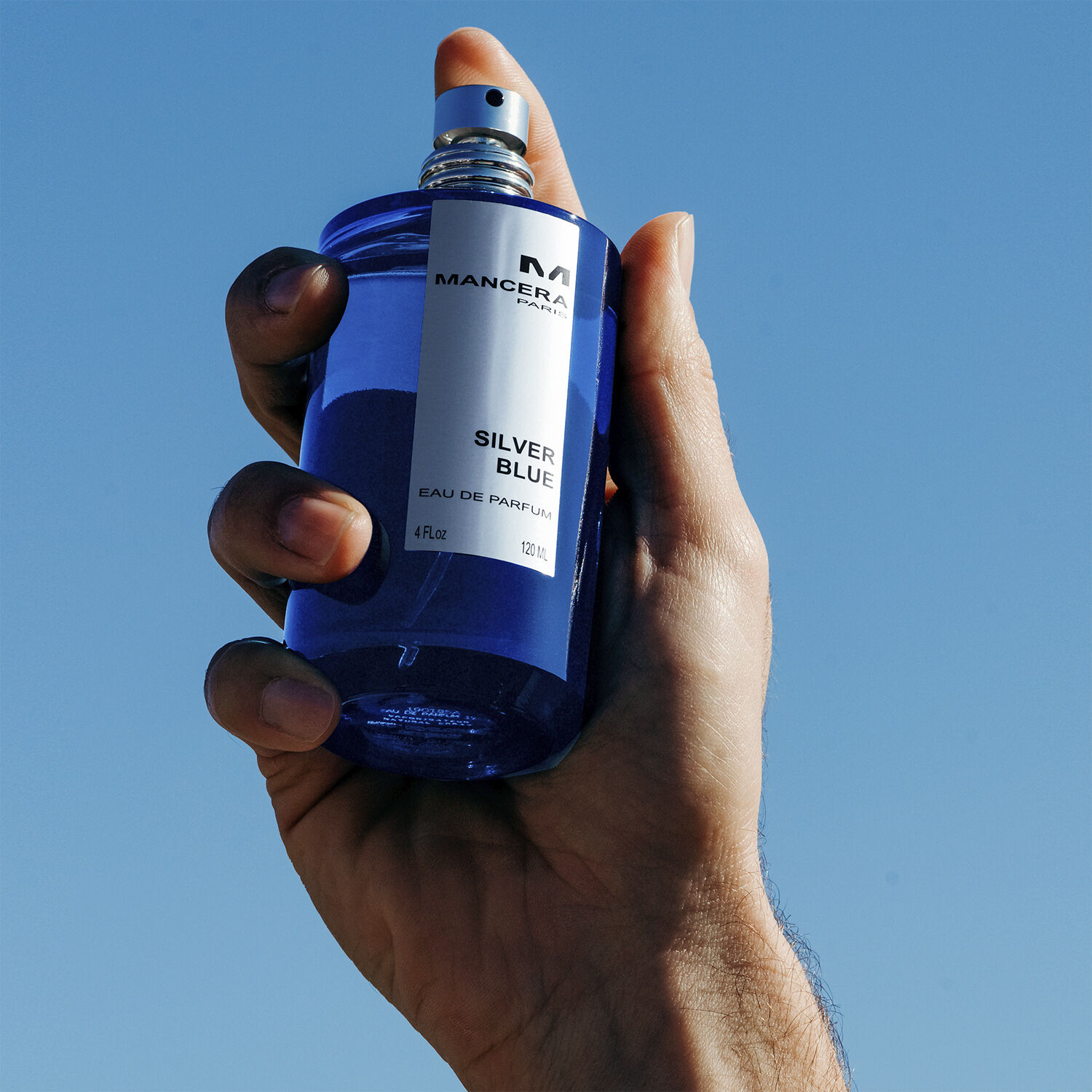 Silver blue Eau de Parfums 120 ml