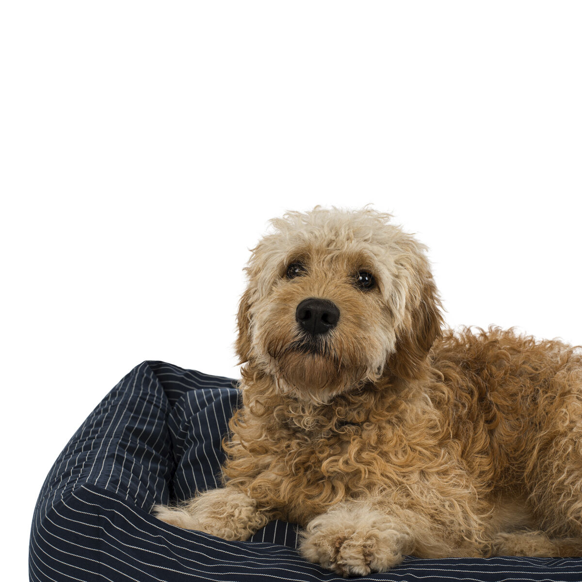 Fossflakes Dog bed Blue pinstripe