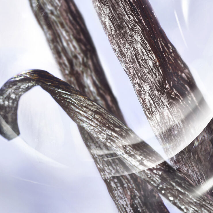 Lancôme La vie est Belle Iris Absolu Eau de Parfum