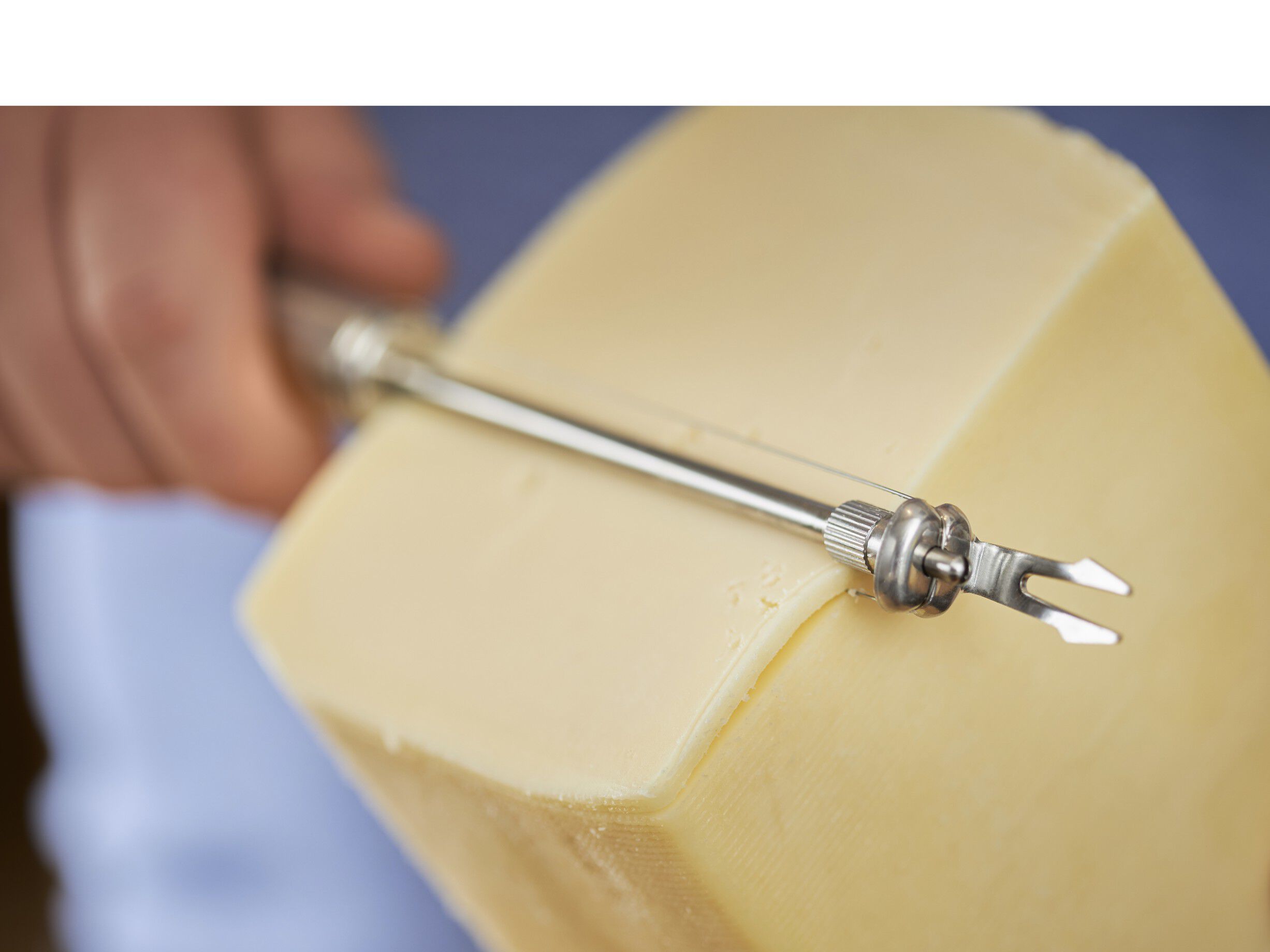 Osteskj&aelig;rer 25 cm St&aring;l