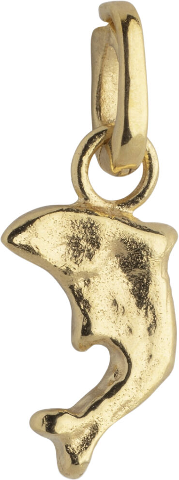 Charm, Joyful Dolphin