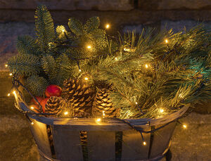 Top-Line Energy Startsæt 50L