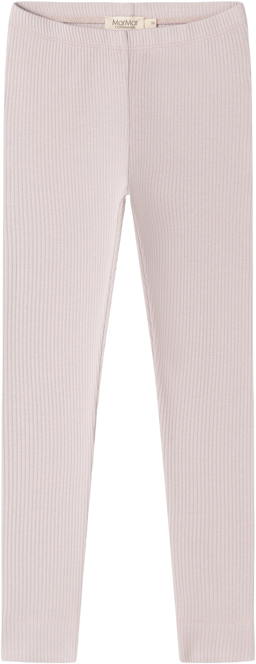 Leg