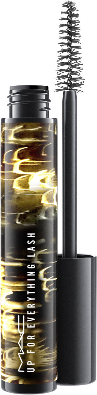 Up For Everything Lash