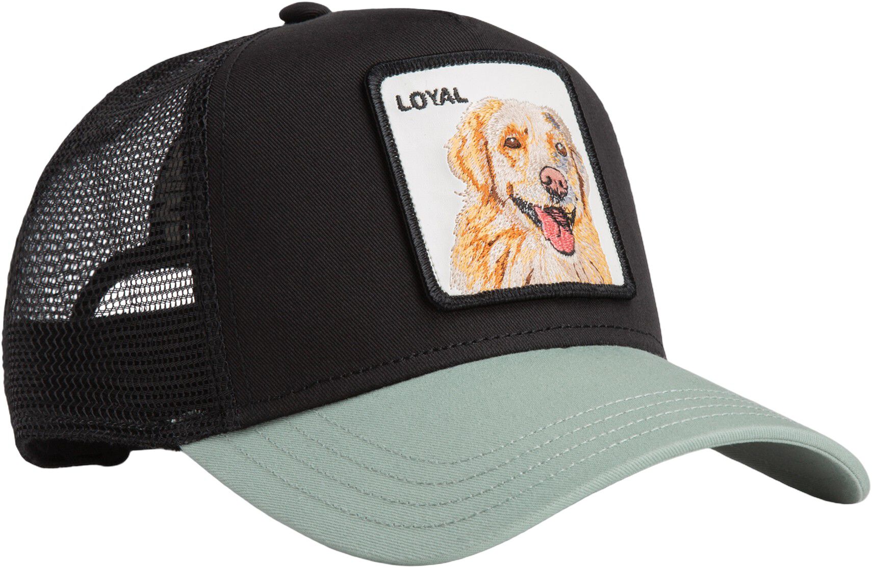 The Loyal dog