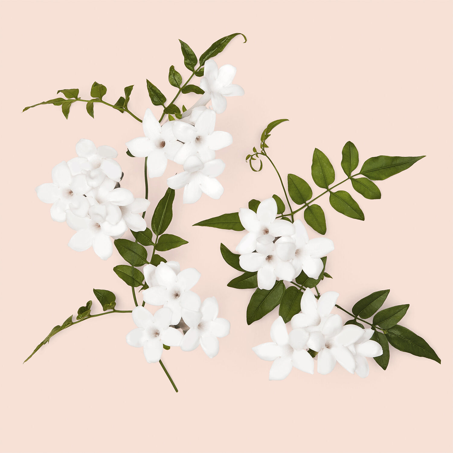 Gucci Bloom Intense Eau de Parfum