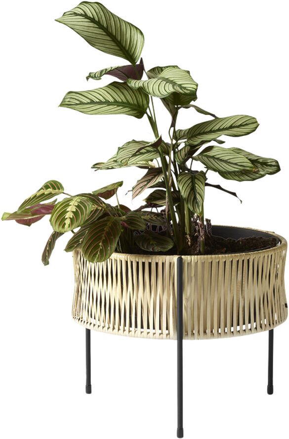 Umanoff, Planter, H 32,5