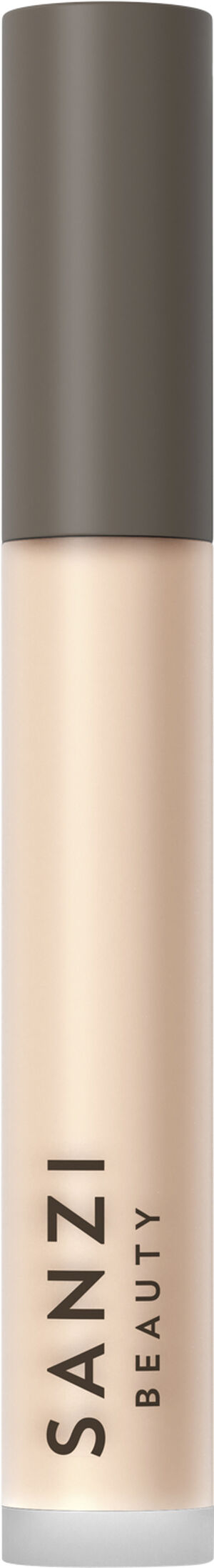 Perfecting Concealer