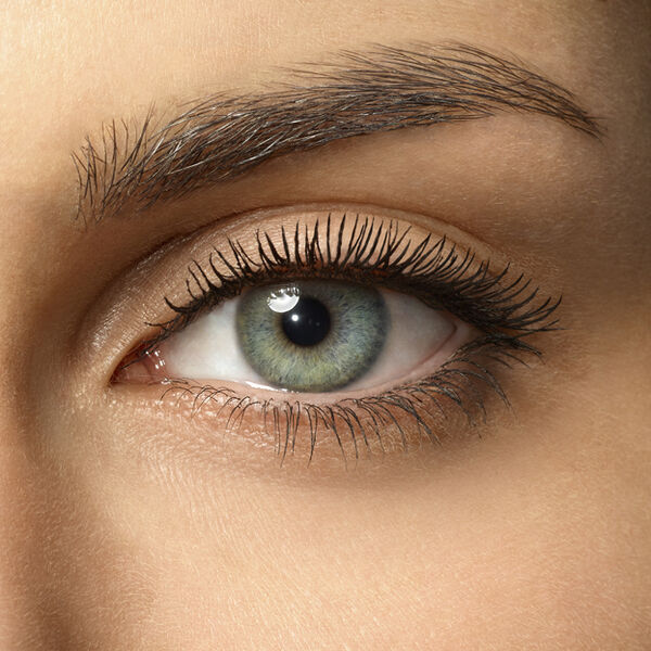 Lash Queen Sexy Blacks Waterproof Mascara