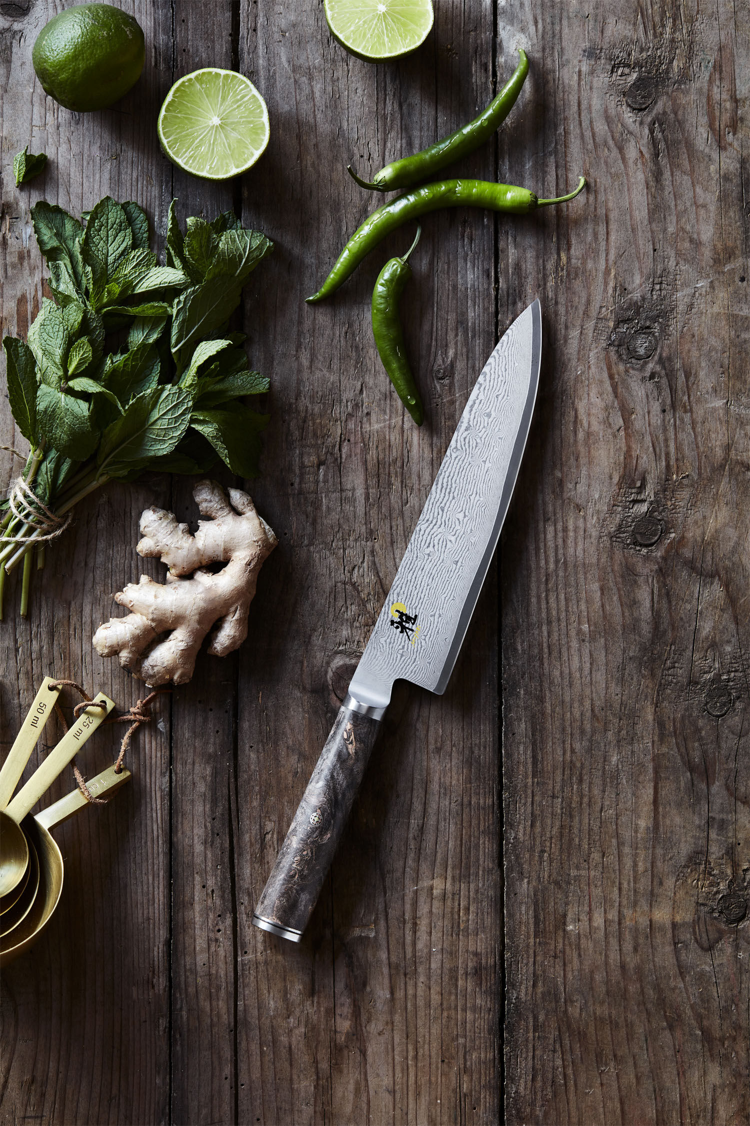 5000 MCD 67 Gyutoh 20 cm