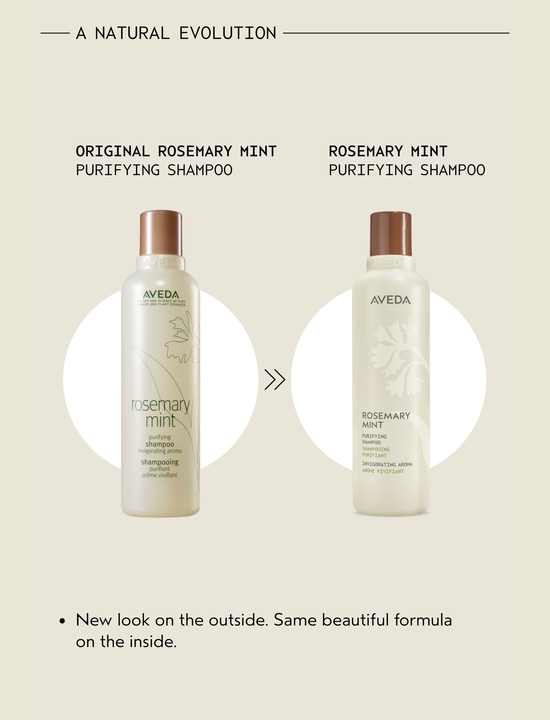 Rosemary Mint NEW Shampoo 250 ml