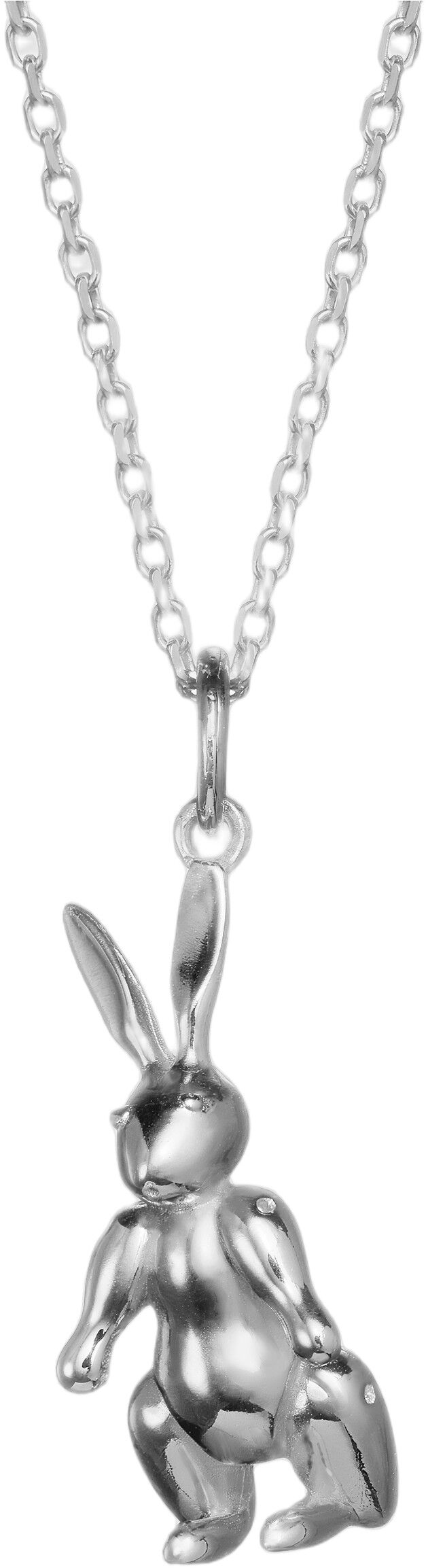 Kaninen i s&oslash;lv uden k&aelig;de