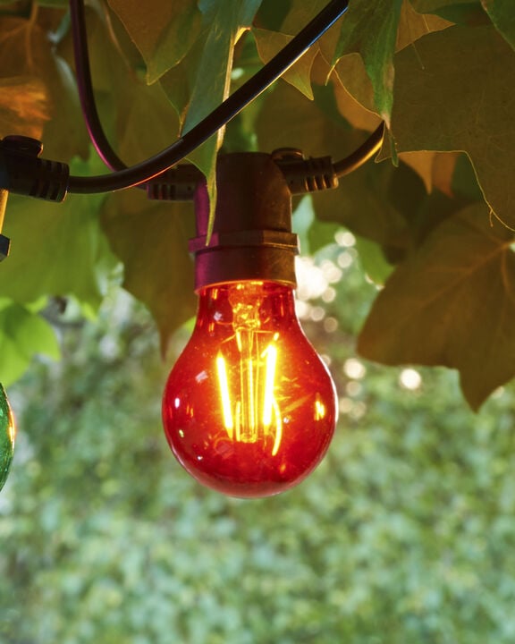 Tobias, Reservepære, Rød