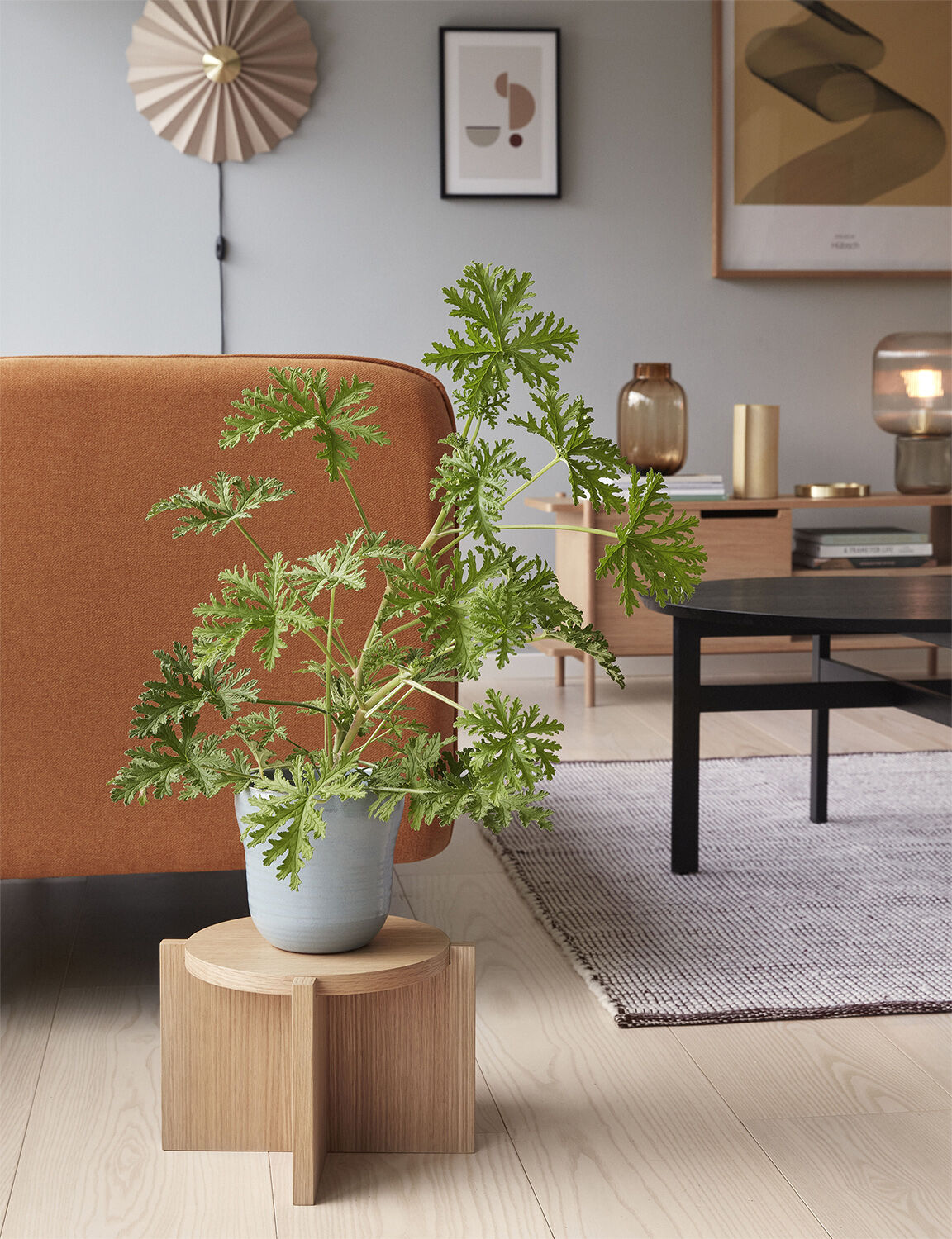 Nomad Plant Stand Natural