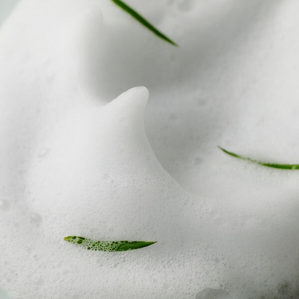 AHA BHA PHA 30 Days Miracle Acne Clear Foam