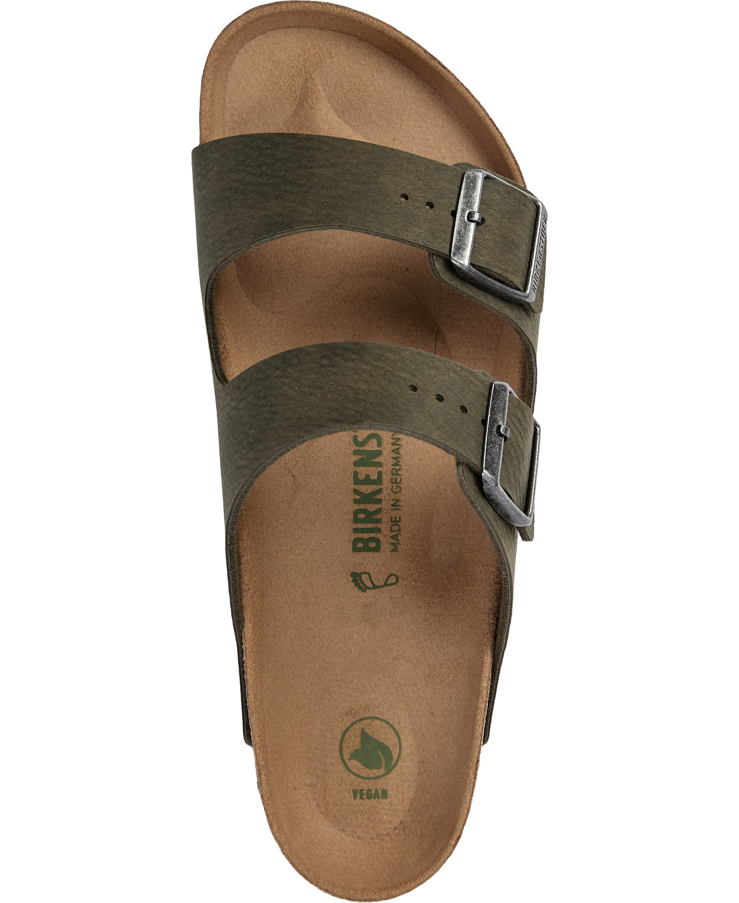 Arizona SYN Desert Dust Thyme VEG