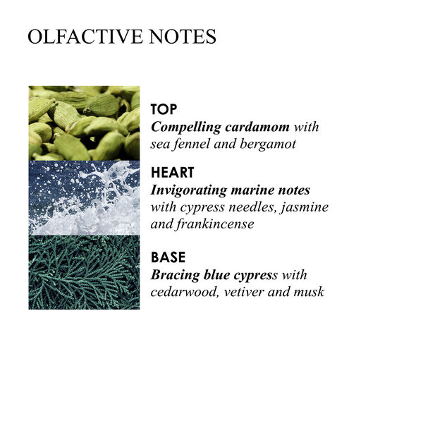 Coastal Cypress & Sea Fennel Fine Liquid Hand Lotion