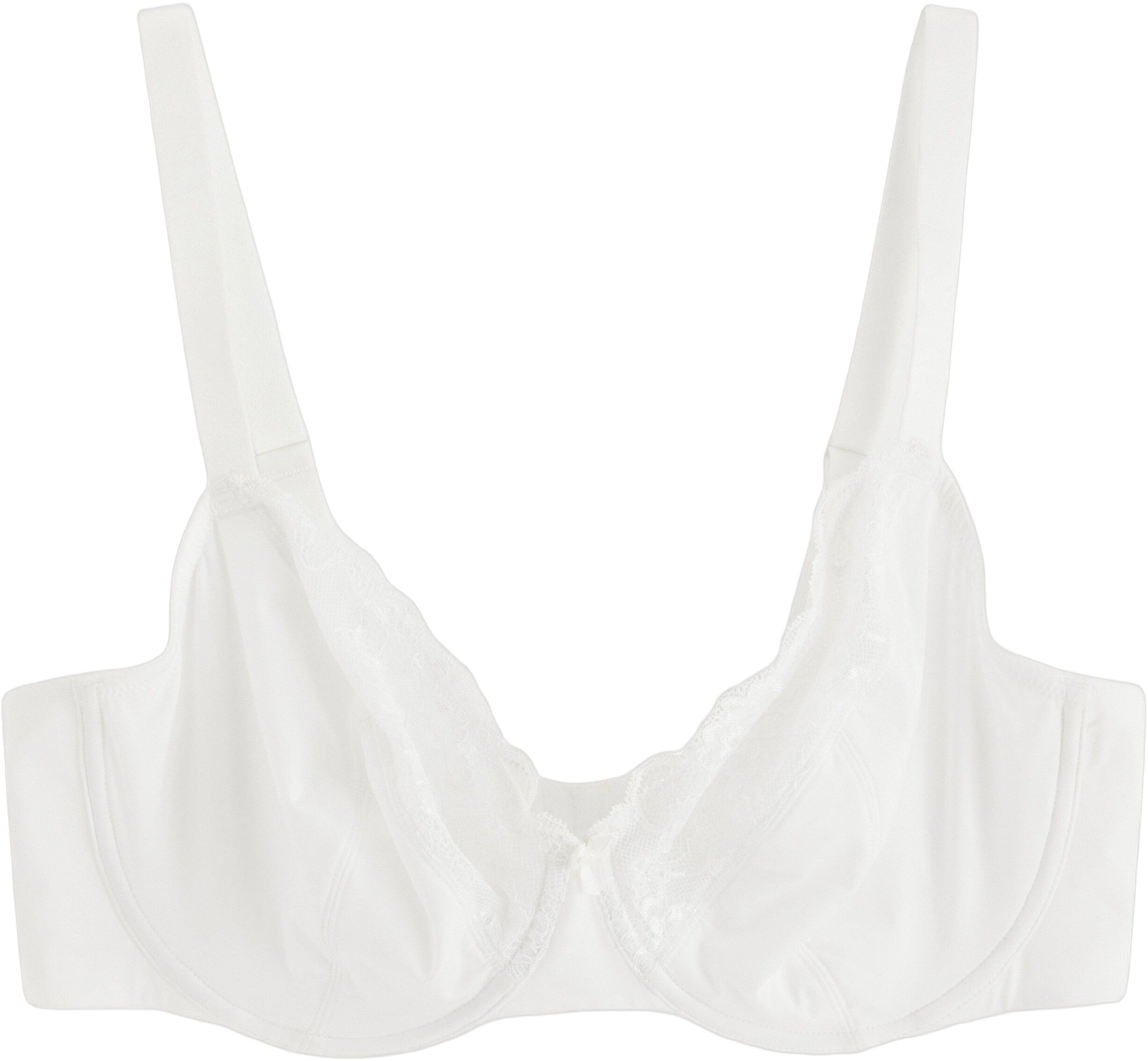 Aster BH uten vattering