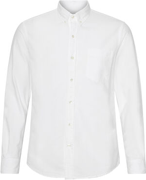 Organic Button Down Shirt