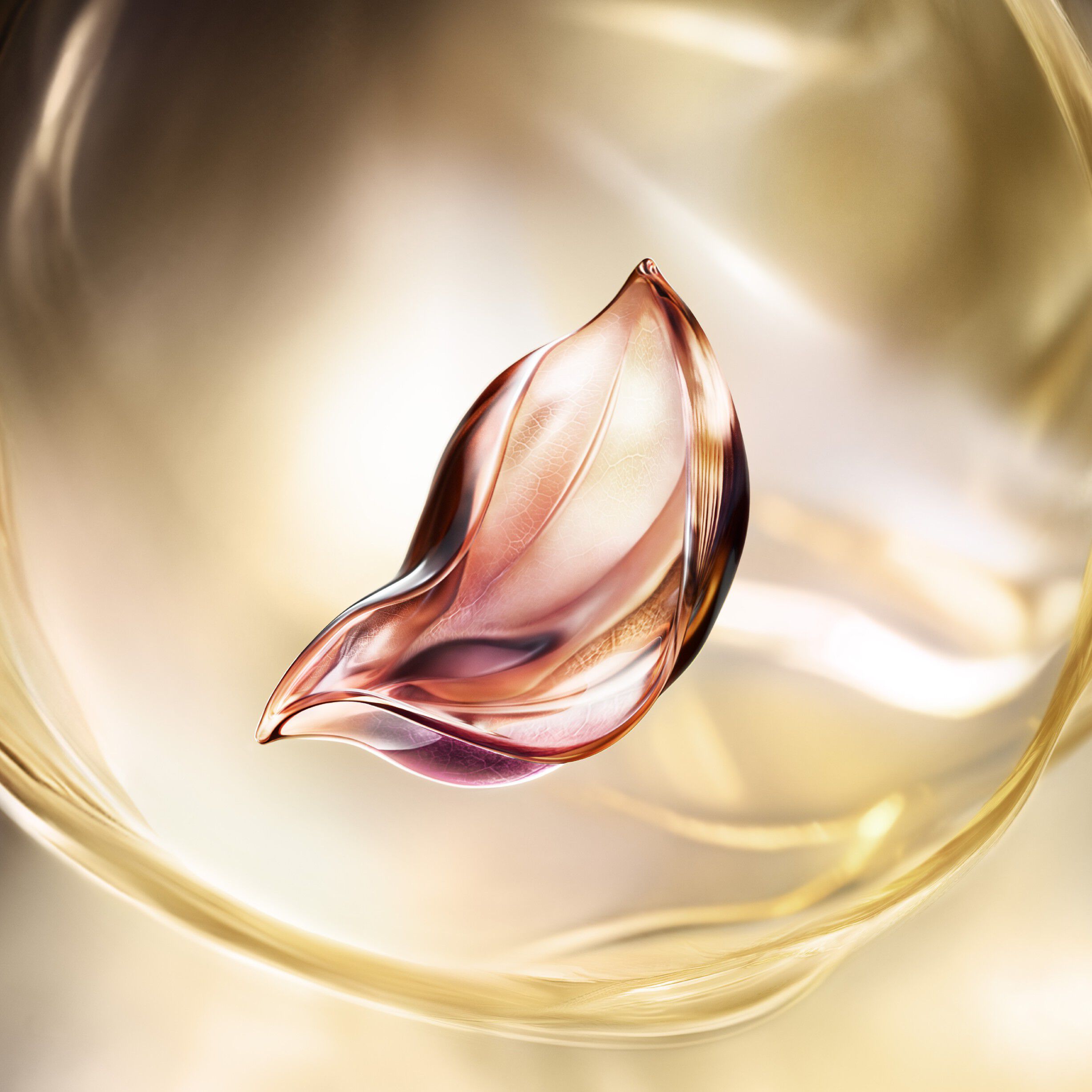 LC ABSOLUE SOFT CREAM J60ML R25