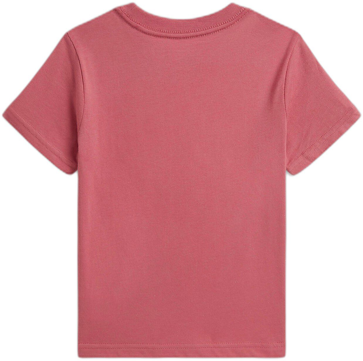 Polo Bear Cotton Jersey Tee