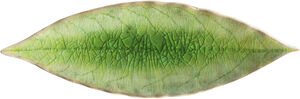 "Assiett lagerblad Riviera 18 x 5,7 cm Gr&Atilde;&para;n/Svart Keramik"