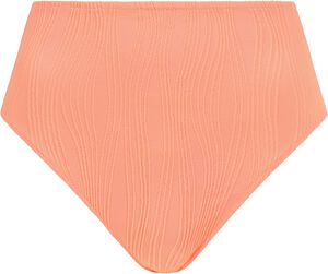 Pulp Swim High-waisted Brief