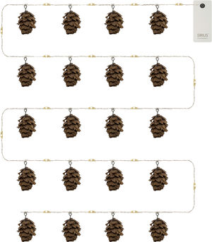 Molly kogler, 20LED, 2M+30 cm