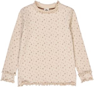 Aster l/s T