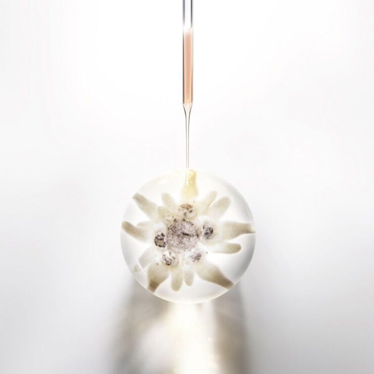 Prodigy Cellglow Anti-Aging Cream