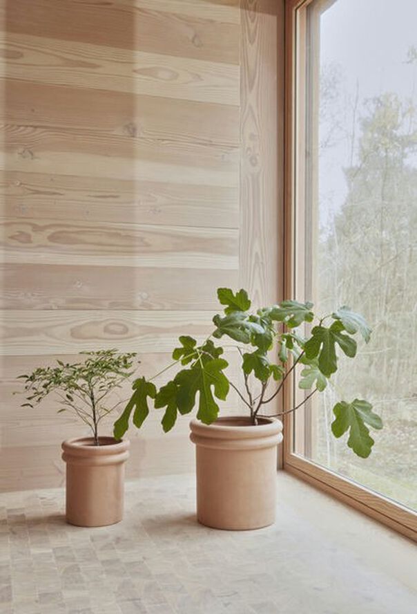 Ring Planter - Small